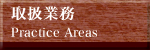 �戵�Ɩ��@Practice Areas